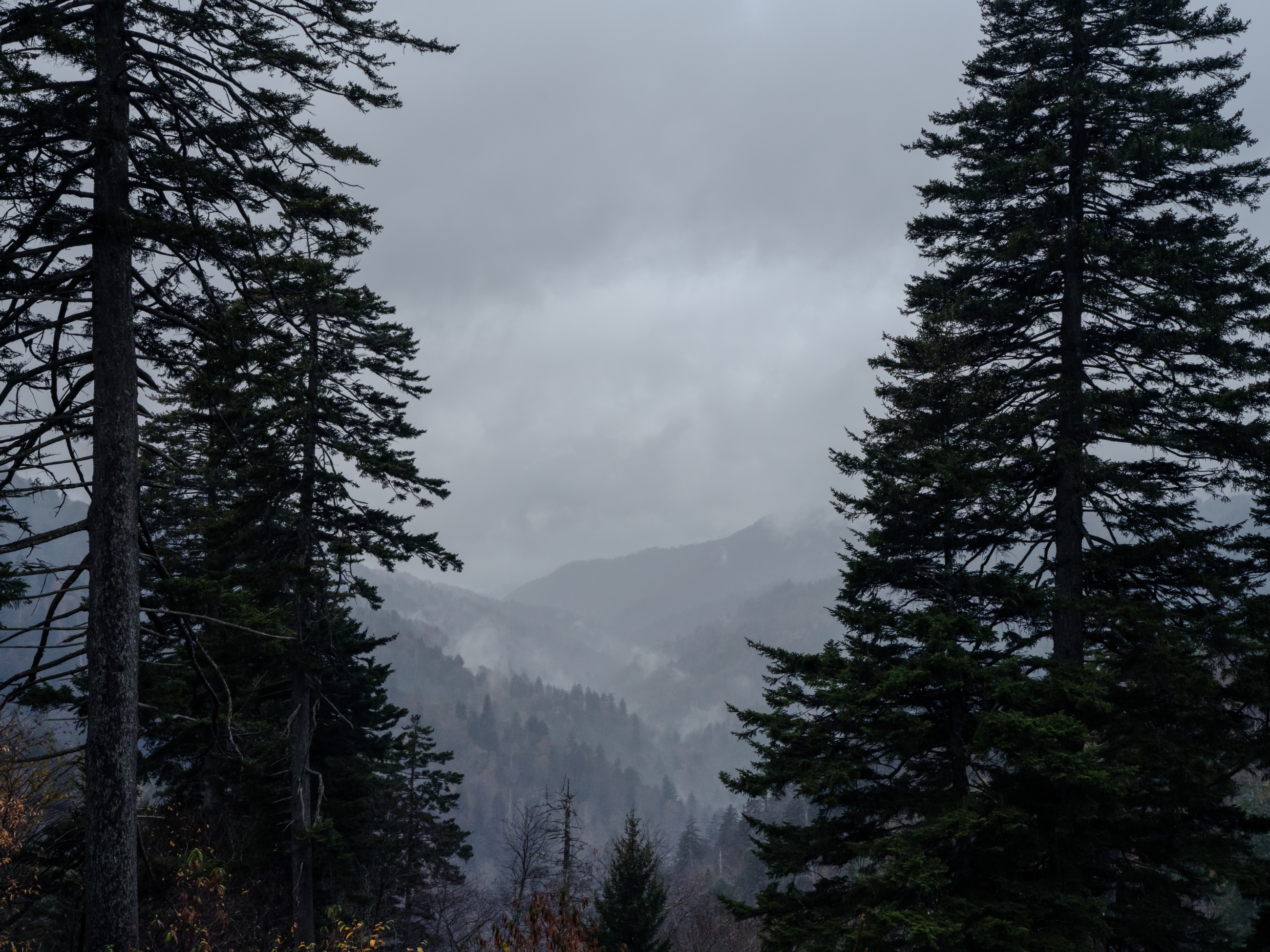 Landscape Photography